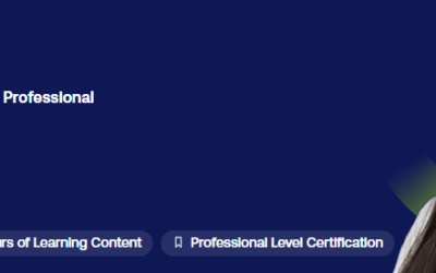 Digital Marketing Pro